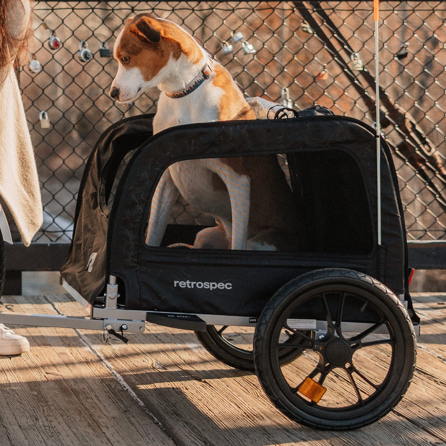 Rover Waggin' Pet Bike Trailer | Retrospec